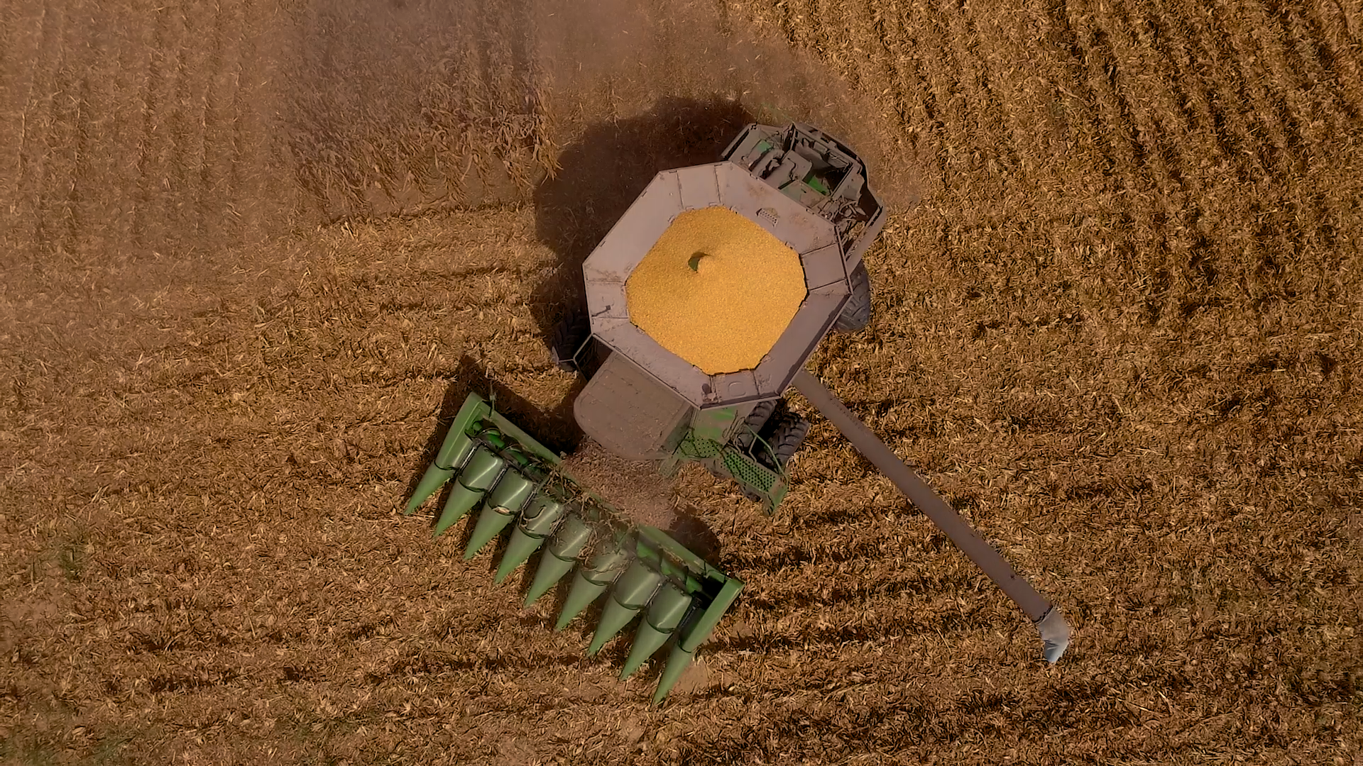 Agriculture