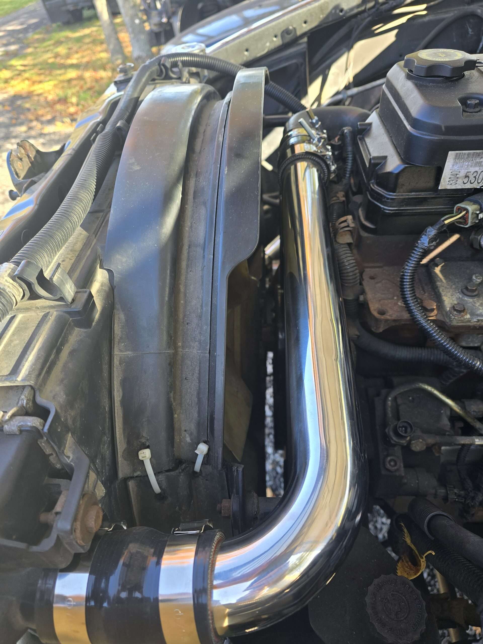 03-09 Cummins Upper & Lower Stainless Steel Radiator Hoses with HD Boots & Clamps 5